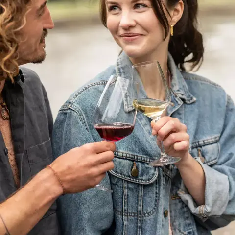 Набор из 4 бокалов для белого вина 350 мл SCHOTT ZWIESEL Tulip арт. 123609