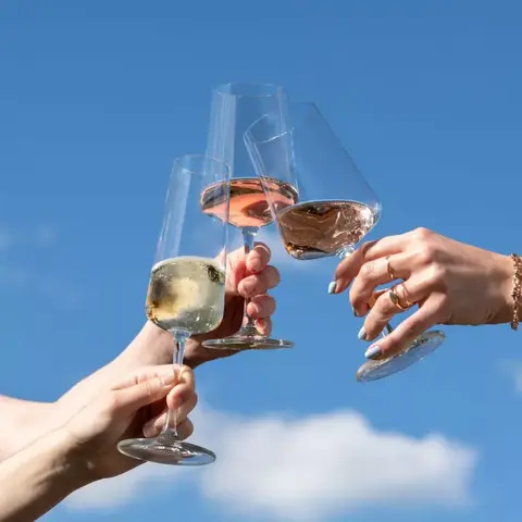 Набор из 4 бокалов для белого вина 380 мл SCHOTT ZWIESEL Miovino арт. 124050