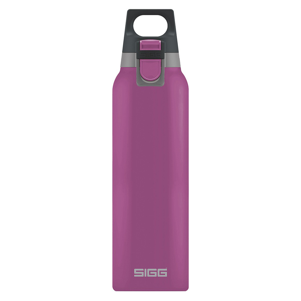 

Термобутылка Sigg H&C One, розовая, 0,5L 8693.90