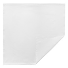 Салфетка сервировочная классическая белого цвета из хлопка из коллекции Essential, 53х53 см Tkano TK21-NA0002