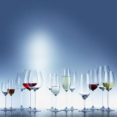Набор из 2 бокалов для красного вина 460 мл SCHOTT ZWIESEL Diva арт. 104 955-2