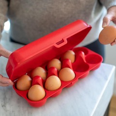 Контейнер для яиц Eggs To Go, Organic, красный Koziol 3179676