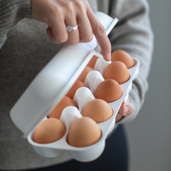 Контейнер для яиц Eggs To Go, белый Koziol 3179525