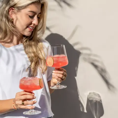 Набор из 4 бокалов для красного вина Burgundy 690 мл SCHOTT ZWIESEL Miovino арт. 124465