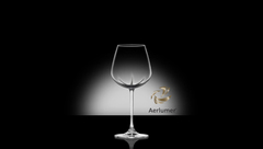 Набор из 6 бокалов для белого вина 485мл Lucaris Desire 3LS10RW1706G0000