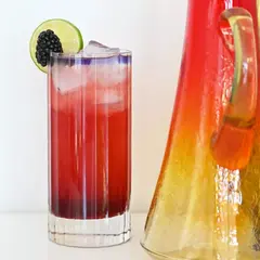 Набор из 4 стаканов для воды BIBITA 480 мл LUIGI BORMIOLI Bach арт. A10824GTY021990