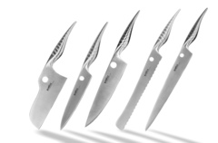 Набор из 5 ножей Samura REPTILE