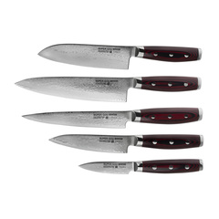 Комплект из 5 ножей YAXELL GOU 161 (161 слой)