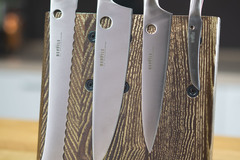 Комплект из 4 ножей Samura REPTILE и подставки