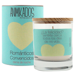 Свеча ароматическая Animikados, True Love, Ночной жасмин, 40 ч. Ambientair VV007RCAM