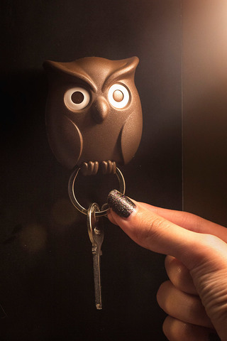 Держатель для ключей Night Owl коричневый Qualy QL10195-BN