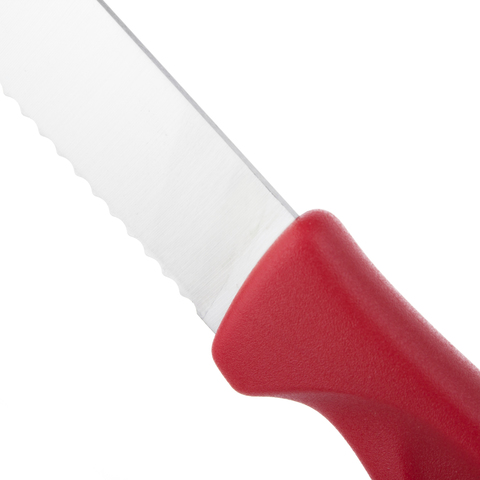 Нож кухонный для стейка 10 см WUSTHOF Sharp Fresh Colourful арт. 3041r