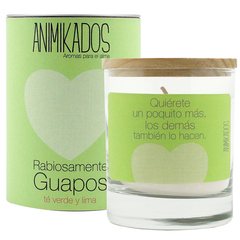 Свеча ароматическая Animikados, Absolutely Fabulous, Зеленый чай и лайм, 40 ч. Ambientair VV007RGAM